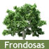 icono Frondosas