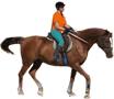 5-icono-equitacion