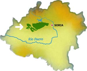 mapa sabinares Sierra de Cabrejas
